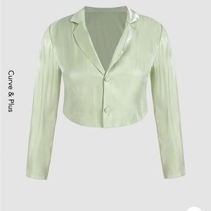 BRAND NEW! 1x Cider crop top button down shirt, iridescent light green.